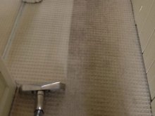  Carpet Cleaning Process